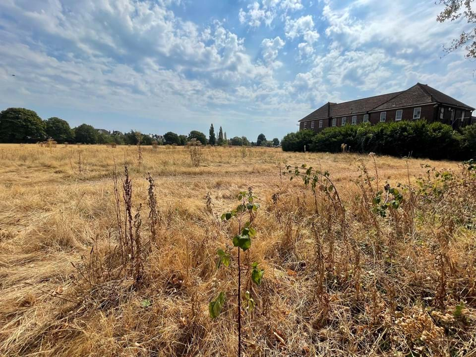 Udney Park playing fields to be sold again