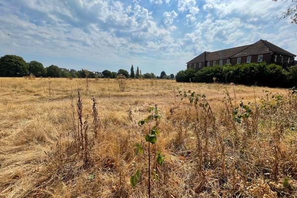 Udney Park playing fields to be sold again